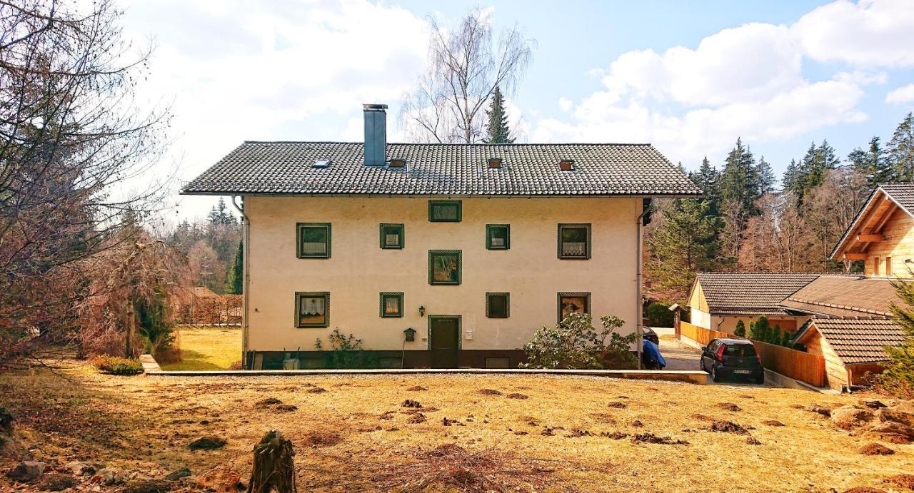 Arber Apartments - Zwieslerwaldhaus リントベルク エクステリア 写真